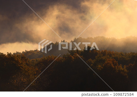 岩手縣奧州市，黎明風景 109872584