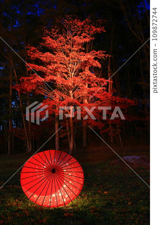 Tono City, Iwate Prefecture, Tono Hachimangu Shrine Illuminated in Autumn 109872744