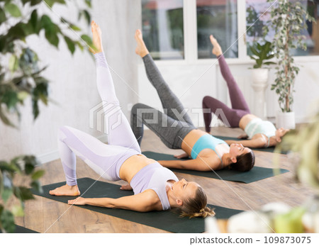 Young woman practicing bridge pose in yoga studio Young woman practicing bridge pose in yoga studio 109873075