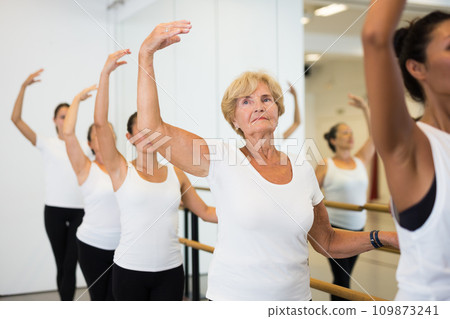 Women exercising ballet moves in training room 109873241
