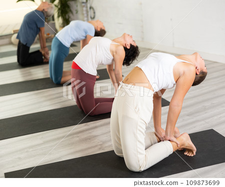Young European woman practicing yoga, Camel position Ustrasana, indoor class with women, studio background Young European woman practicing yoga, Camel position Ustrasana, indoor class with women, studio background 109873699