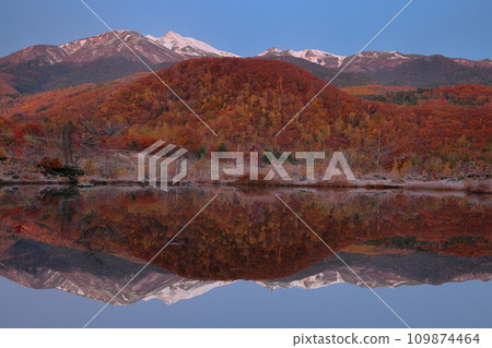 Azumi Suzuran, Matsumoto City, Nagano Prefecture, Norikura Kogen Ichinose Garden, the water mirror of Maime Pond reflecting the autumn leaves before sunrise and Mt. Norikura capped with snow Azumi Suzuran, Matsumoto City, Nagano Prefecture, Norikura Kogen Ichinose Garden, the water mirror of Maime Pond reflecting the autumn leaves before sunrise and Mt. Norikura capped with snow 109874464