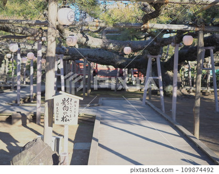 影向之松（江戶川區）2 109874492