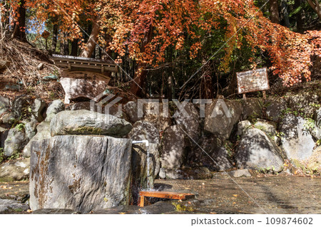 秦野名水葛葉噴泉秋景 秦野名水葛葉噴泉秋景 109874602