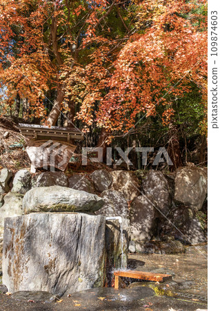 Hadano famous water Kuzuha Fountain Autumn view 109874603