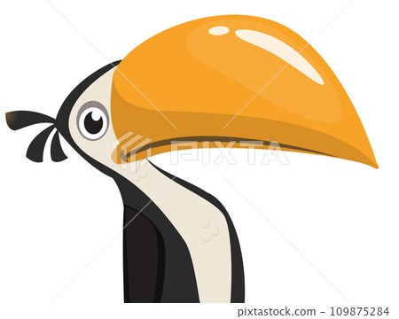 Toucan cartoon. Vector toucan bird. Exotic colorful bird illustration Toucan cartoon. Vector toucan bird. Exotic colorful bird illustration 109875284