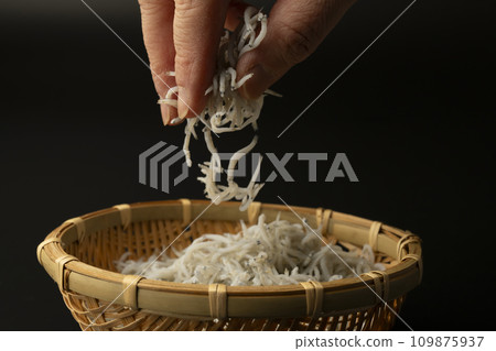 Shirasu fried in a pot 109875937