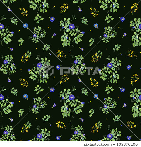 Seamless pattern with blue and yellow flowers. Thai blue flowers. Butterfly pea flowers. Tropical plant, Ipomoea, clitoria ternatea, bluebellvine. Watercolor illustration isolated on black background. 109876100