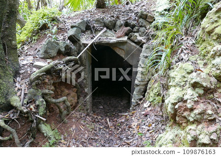 World War 2 relics at Chichi jima Bonin island, Ogasawara. 109876163