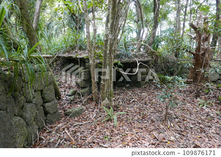 World War 2 relics at Chichi jima Bonin island, Ogasawara. World War 2 relics at Chichi jima Bonin island, Ogasawara. 109876171