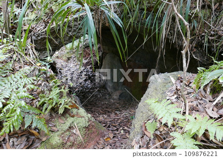 World War 2 relics at Chichi jima Bonin island, Ogasawara. World War 2 relics at Chichi jima Bonin island, Ogasawara. 109876221