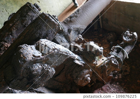 World War 2 relics at Chichi jima Bonin island, Ogasawara. 109876225