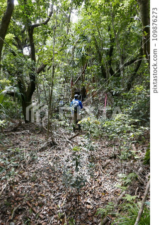 World War 2 relics at Chichi jima Bonin island, Ogasawara. 109876273