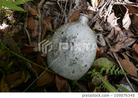 World War 2 relics at Chichi jima Bonin island, Ogasawara. 109876348
