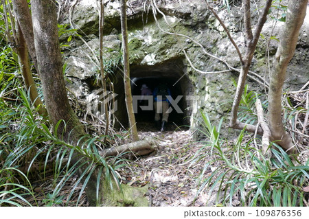 World War 2 relics at Chichi jima Bonin island, Ogasawara. 109876356