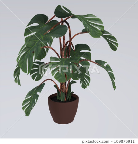 Flower in Pot isolated on white background 109876911