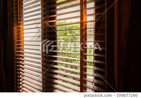 Open wooden window blinds, close up. 109877260