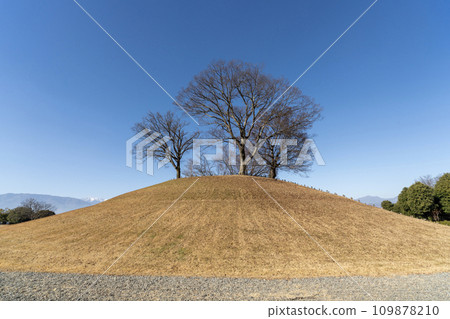 山梨郡曾根山公園的秋景 109878210