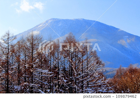 Five Hokushin Mountains in December: Mountains of Shinshu 109879462