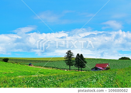 Summer in Biei, Hokkaido, hill with red roof 109880082