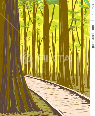 Bottomland Hardwood Forest in Congaree National Park South Carolina WPA Poster Art 109880295