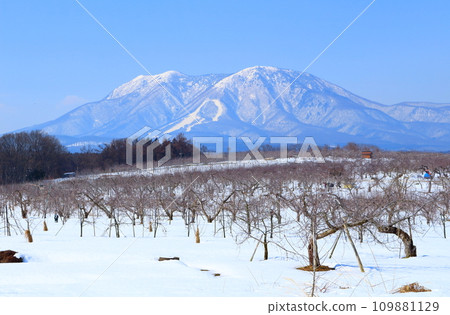 三月的北信五山 信州山脈 雪山 北信五山 三月的北信五山 信州山脈 雪山 北信五山 109881129