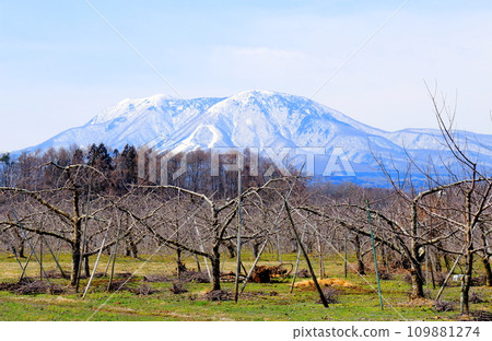 四月的北信五山 信州山脈 雪山 北信五山 109881274