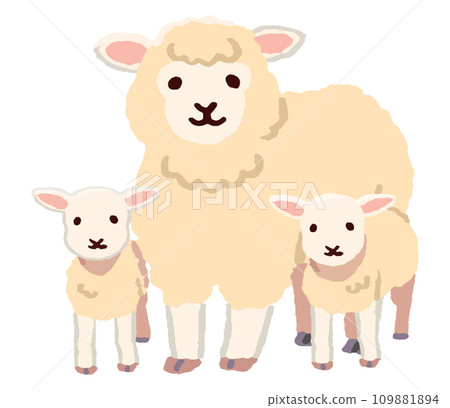 3 sheep family 109881894