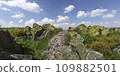 Path in the mountains 3D illustration 109882501