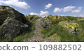 Path in the mountains 3D illustration 109882502