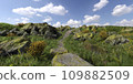 Path in the mountains 3D illustration 109882509