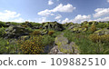 Path in the mountains 3D illustration 109882510