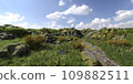 Path in the mountains 3D illustration 109882511