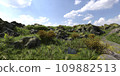 Path in the mountains 3D illustration 109882513