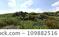 Path in the mountains 3D illustration 109882516