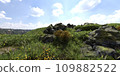 Path in the mountains 3D illustration 109882522