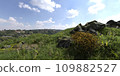 Path in the mountains 3D illustration 109882527