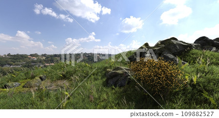 Path in the mountains 3D illustration 109882527