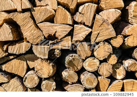 Photography on theme big wall of stacked oak tree logs in cracks Photography on theme big wall of stacked oak tree logs in cracks 109882945