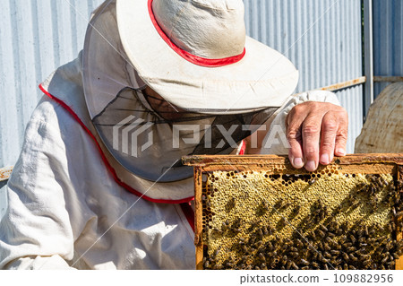 Winged bee slowly flies to beekeeper collect nectar on private apiary Winged bee slowly flies to beekeeper collect nectar on private apiary 109882956