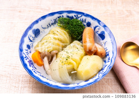 cabbage roll pot-au-feu 109883136