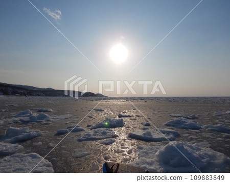 Sea of drift ice 109883849