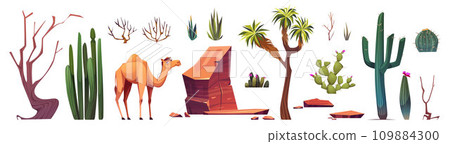 Arizona desert landscape creation elements 109884300