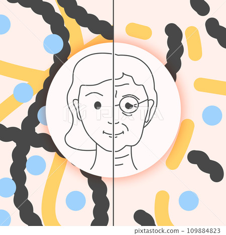 Collagen content in young and old skin illustration 109884823