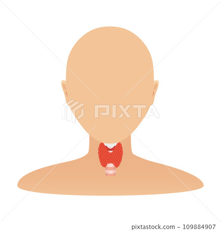Thyroid gland organ on body silhouette icon Thyroid gland organ on body silhouette icon 109884907