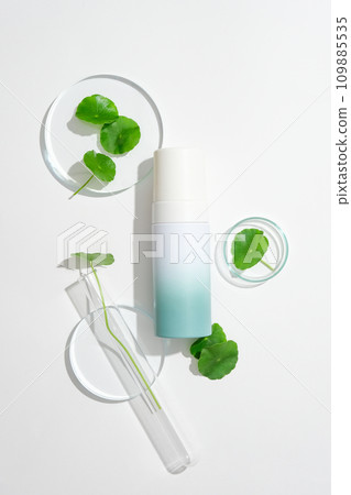 A cosmetic bottle without label and pennywort leaves placed on transparent petri dishes on a white background. Centella asiatica extract for cosmetic production. 109885535