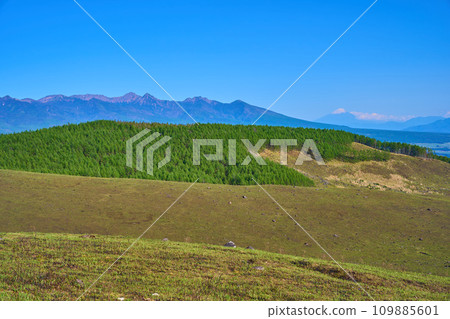 春天從霧峰高原(富士見台)東南側眺望(落葉松林、八嶽山脈、富士山等) 春天從霧峰高原(富士見台)東南側眺望(落葉松林、八嶽山脈、富士山等) 109885601