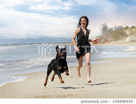 rottweiler and woman rottweiler and woman 109886450