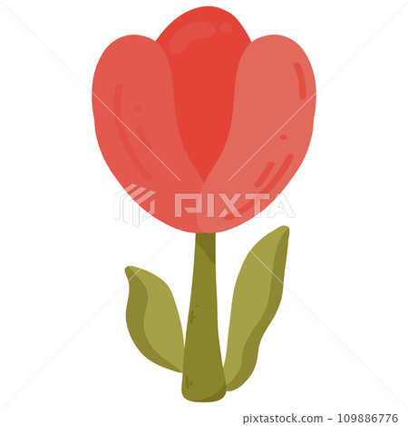Red tulip isolated illustration Red tulip isolated illustration 109886776