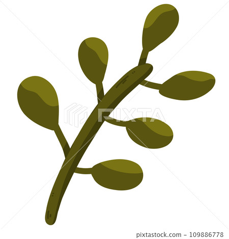 Illustration of a leaf Illustration of a leaf 109886778